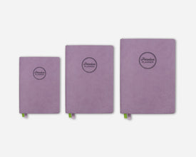 Three different size lavender Passion Planners in order of smallest to largest on a gray background.