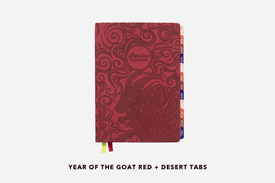 A 2027 Year of the Goat Red Planner with a variety of tab combinations.