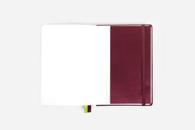 Opened maroon reading journal on a white background