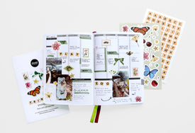 Collection of scrapbooking supplies including stickers and paper on a white background