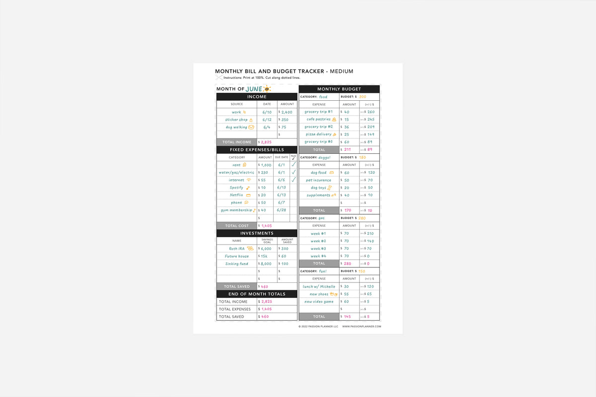 Monthly Bill and Budget Tracker - Passion Planner