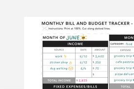 Monthly Bill and Budget Tracker - Passion Planner