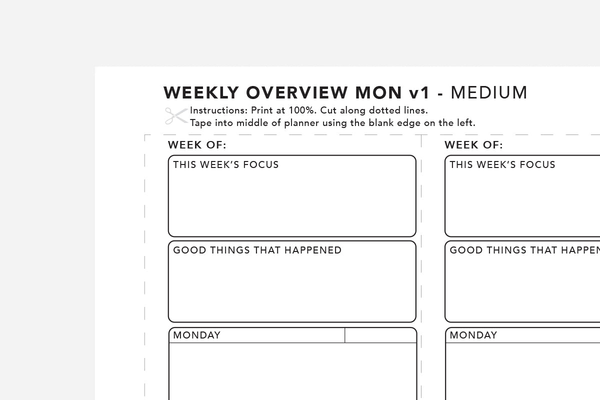 Weekly Overview - Passion Planner