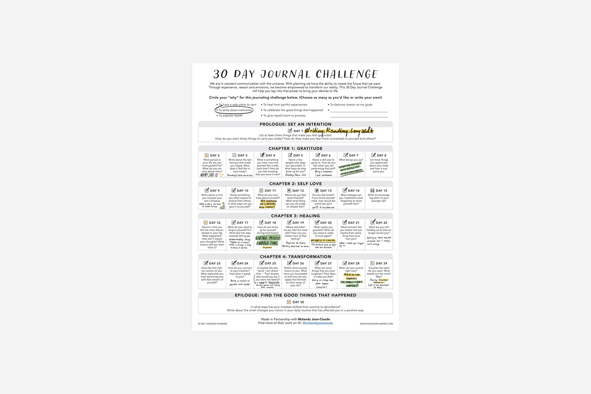30 Day Journal Challenge - Passion Planner