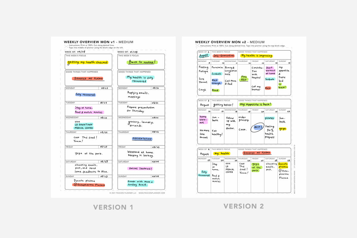 Weekly Overview - Passion Planner