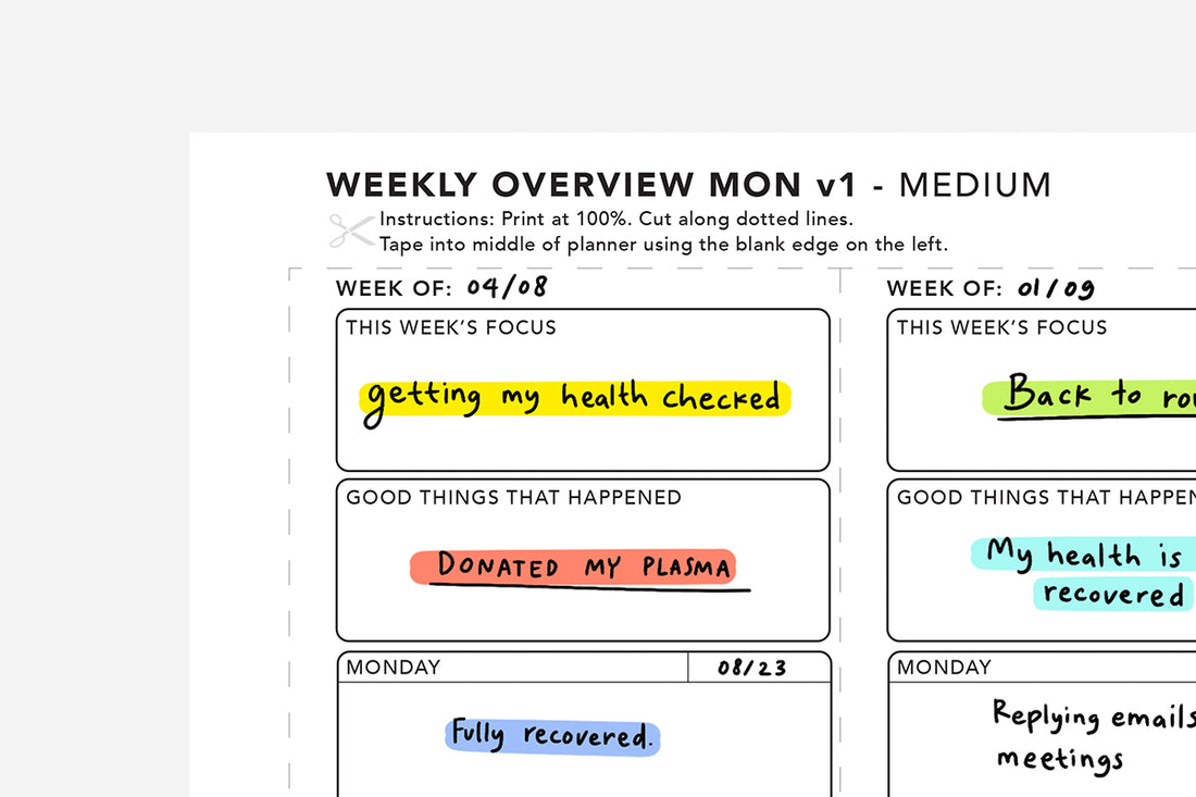 Weekly Overview - Passion Planner