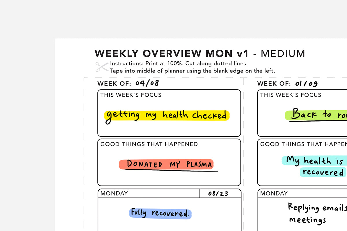 Weekly Overview - Passion Planner