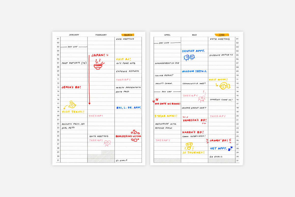 Yearly Overview - Passion Planner