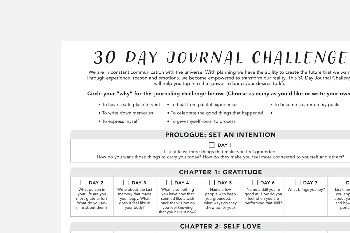 30 Day Journal Challenge - Passion Planner