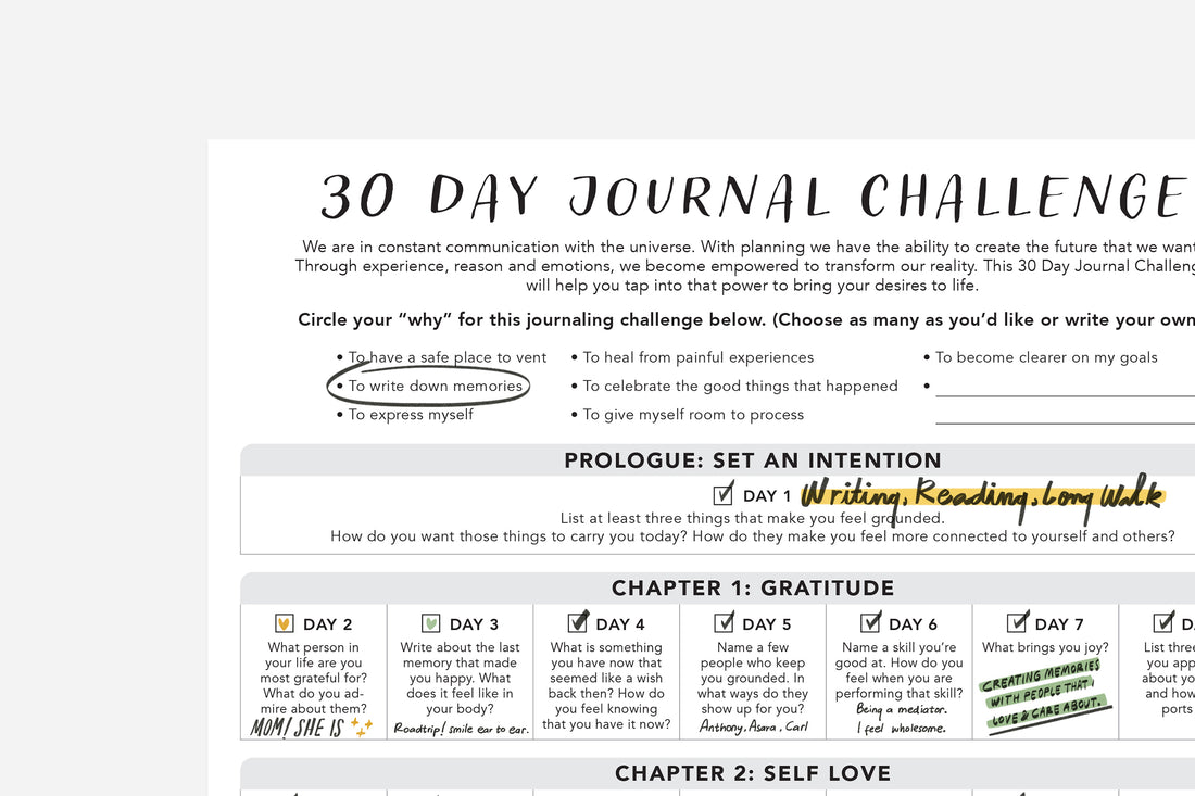30 Day Journal Challenge - Passion Planner
