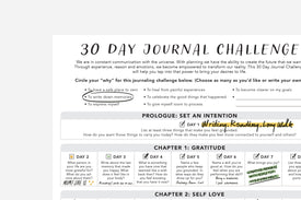 30 Day Journal Challenge - Passion Planner