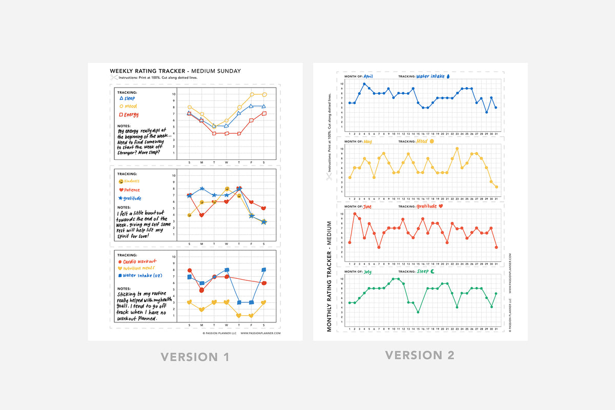 Rating Tracker PDF - Passion Planner